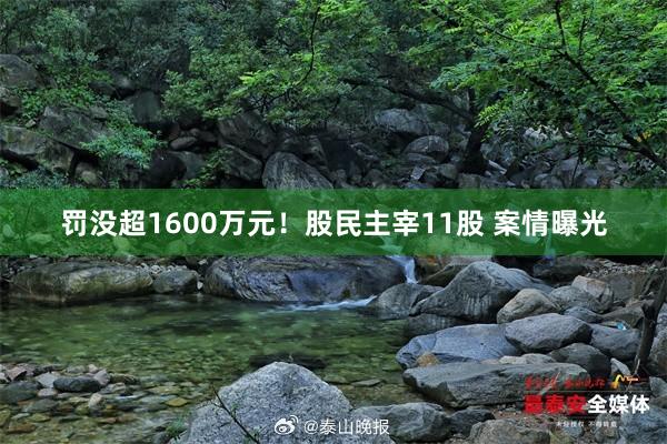 罚没超1600万元！股民主宰11股 案情曝光